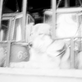 Blurred view of person inside train carriage.