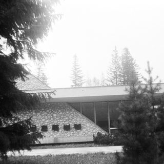 Modern building surrounded by evergreen trees.