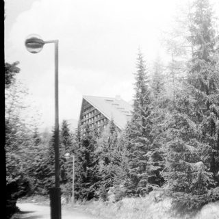 Snow-covered forest and building in winter.