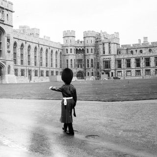 Guardian at Buckingham Palace courtyard.