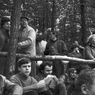 Group of people in forest, likely soldiers, riding in open truck.