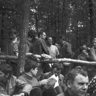 People gathered outdoors in a forest setting, seated on a vehicle.