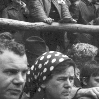 People gathered outdoors in a forest setting, seated on a vehicle.