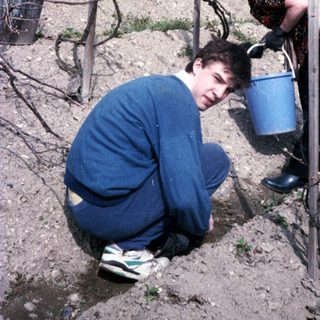 Two people tending vineyard plants with water buckets.
