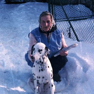Person sitting in snow with Dalmatian dog.