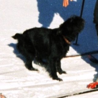 People skiing on snow with a dog.