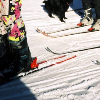 People skiing on snow with a dog.