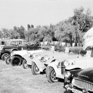 Classic vintage cars parked outdoors in grassy area.
