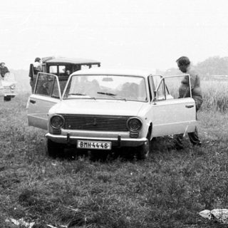 Vintage cars lined up on rural roadside.
