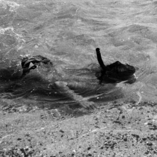 Submerged tank partially submerged in turbulent water.
