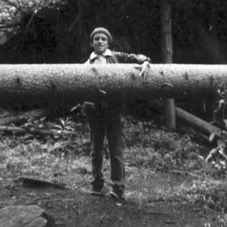 Person standing beside large fallen tree in forest.