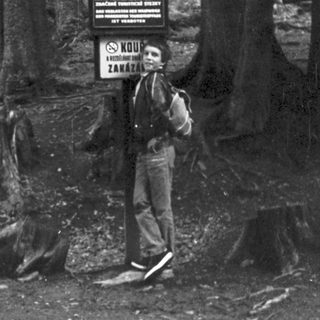 A person standing in a forest near informational signs.
