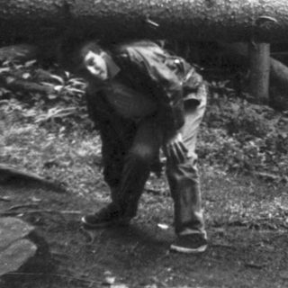 Person moving fallen tree in forested area.