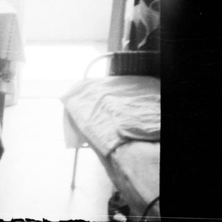 Two people sitting indoors with a cat.
