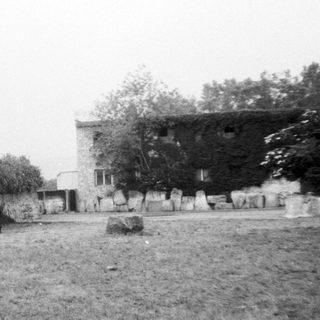 Rhino in an enclosed grassy zoo area.