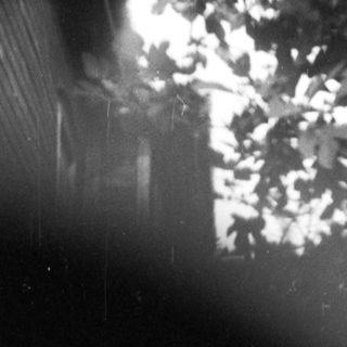 Blurred black-and-white photo of a dog resting near a wall with graffiti.
