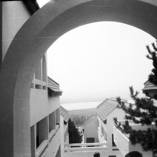 Archway view of residential buildings and trees.