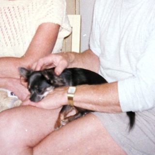 Two people holding and smiling with small dog.