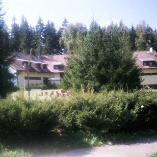 Rural houses surrounded by dense greenery.