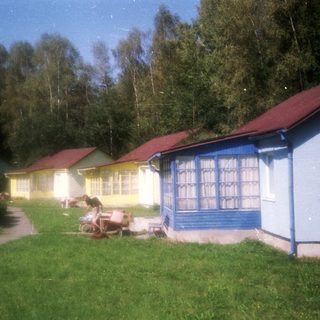 Colorful cabins in a forested area.