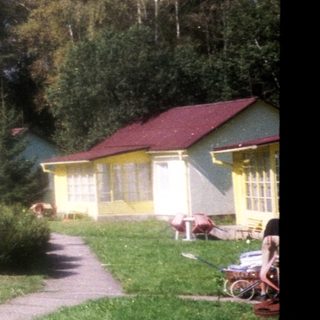 Colorful cabins in a forested residential area.