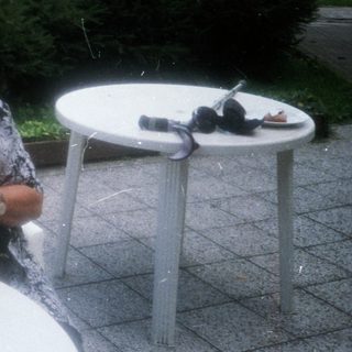 Woman enjoying outdoor meal with mushrooms.