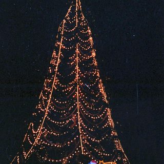 Giant illuminated Christmas tree at nighttime event.