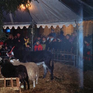 Nighttime event with people and animals in a tented area.