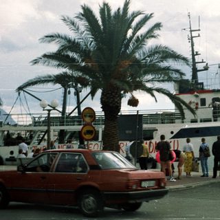 Ferry port with passengers, vehicles, and tropical scenery.
