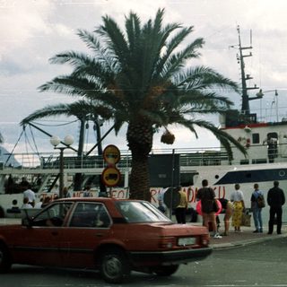 Ferry port with passengers, vehicles, and tropical scenery.