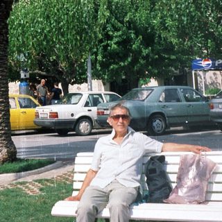Man sitting on bench by palm tree in urban street scene.