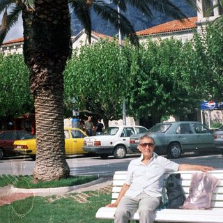 Man sitting on bench by palm tree in urban street scene.