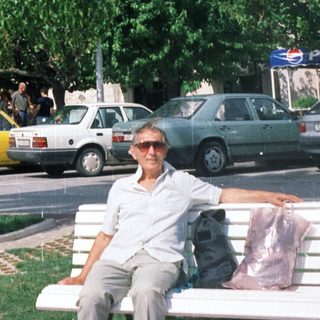Man sitting on bench by palm tree in urban street scene.