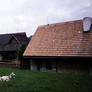 Rural farmhouses with cows in grassy yard.