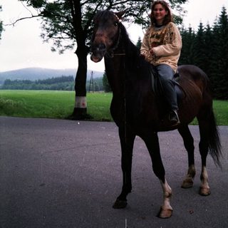 Woman riding black horse on paved path.