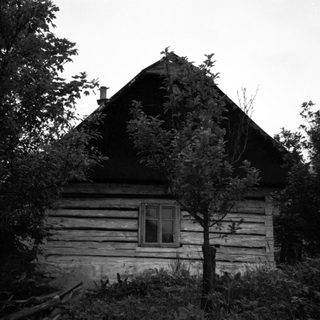 Rustic wooden cabin surrounded by greenery.