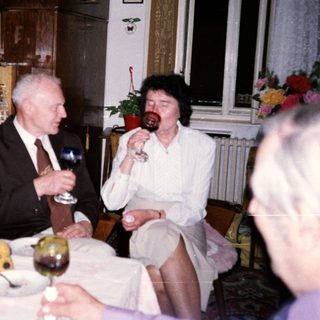 Celebratory gathering with elderly couple enjoying wine.