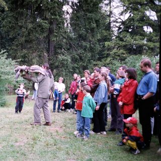 People observing a man feeding a large bird.