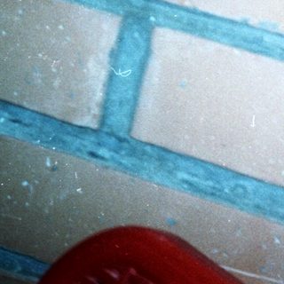 Blue grout between light-colored tiles.