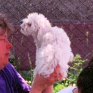 Two women outdoors with a small white dog.