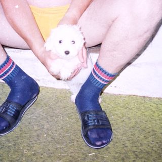 Person kneeling holds small white puppy indoors.