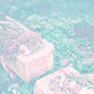 Ancient stone ruins overgrown with vegetation.