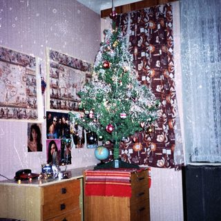 Christmas tree in cozy, cluttered room with photos.