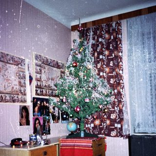 Christmas tree in cozy, cluttered room with photos.