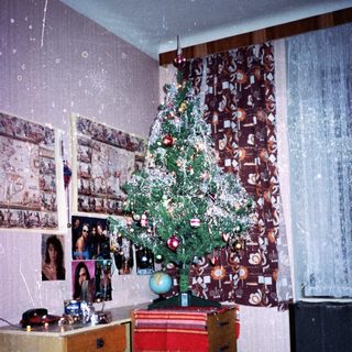 Christmas tree in cozy, cluttered room with photos.