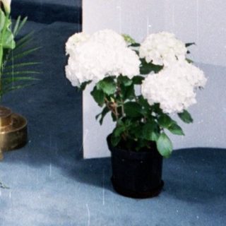 Man in white coat standing in church.