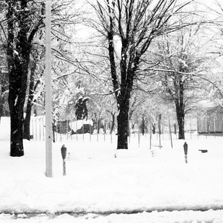 Snow-covered park scene with bare trees and statues.