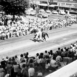 Large crowd watching parade with horse and rider.