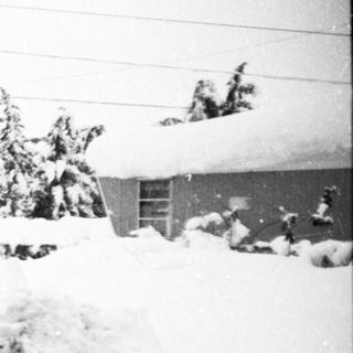 Snow-covered street with piled snowbanks and trees.