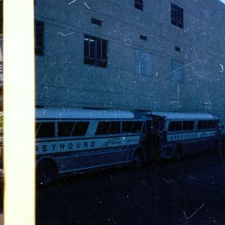 Vintage Greyhound buses parked near building.
